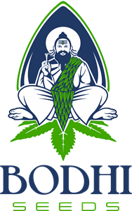 bodhi seeds Logo PNG Vector