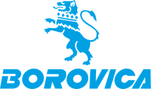 Borowitz Logo PNG Vector