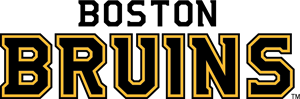 Boston Bruins Logo Vector