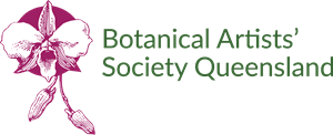 Botanical Artists’ Society of Queensland (BASQ) Logo PNG Vector