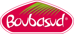 Boubasud Logo PNG Vector