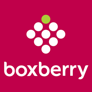 Boxberry Logo PNG Vector
