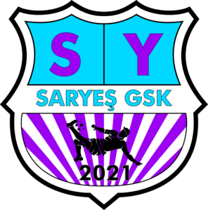 Boyabat Saryeş Spor Logo PNG Vector