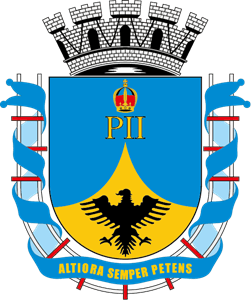 Brasão de Petrópolis Logo PNG Vector