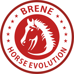 Brene Horse Evolution Logo PNG Vector