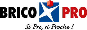 Brico Pro Logo Vector