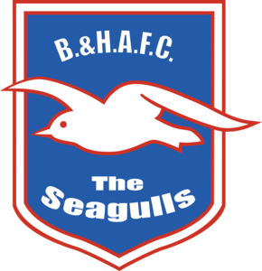 Brighton & Hove Albion FC Logo PNG Vector