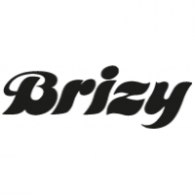 Brizy Logo PNG Vector
