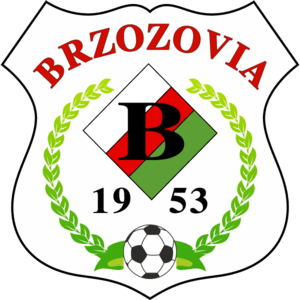 Brzozovia Brzozów Logo PNG Vector