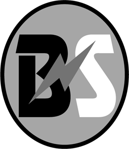 BS Logo PNG Vector
