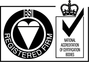 BSI Logo Vector