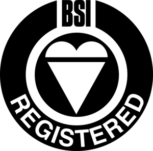 BSI REGISTERED Logo PNG Vector