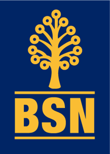 bsn Logo PNG Vector