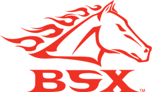BSX Logo PNG Vector