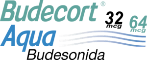 Budecort Logo PNG Vector