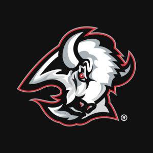 Buffalo Sabres 1996-1998 Logo PNG Vector
