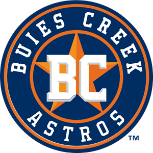 Buies Creek Astros Logo PNG Vector