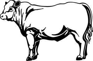 Bull Logo PNG Vector