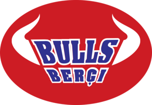 Bulls Bergi Logo PNG Vector