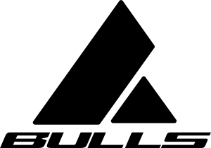 Bulls Logo PNG Vector