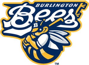 BURLINGTON BEES Logo PNG Vector