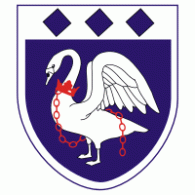 Burnham FC Logo PNG Vector