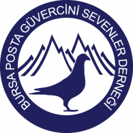 Bursa Posta Logo PNG Vector