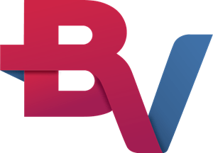 BV Financeira Logo Vector