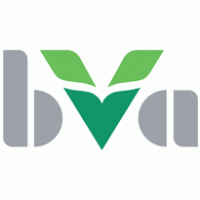 BVA Logo PNG Vector