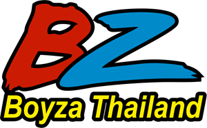 bz Logo PNG Vector