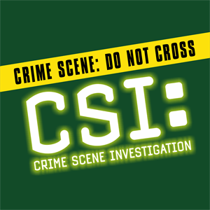 CSI Logo Adult Strapback Hat