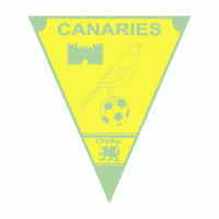 Caernarfon Town FC Logo PNG Vector