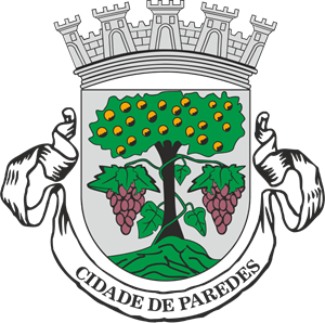 Camara Municipal de Paredes Logo PNG Vector