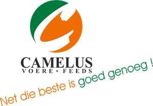 Camelius Logo PNG Vector