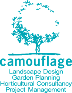 Camouflage Landscape Design Logo PNG Vector