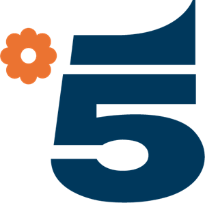 Canale 5 Logo Vector