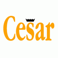 Cesar Logo Vector