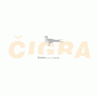 Cigra Logo PNG Vector