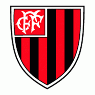 Clube de Futebol Florestal de Ibiruba-RS Logo PNG Vector