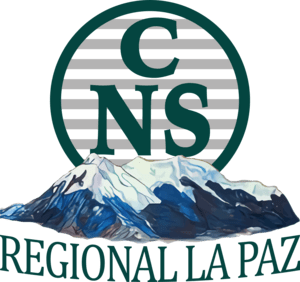 Caja Nacional de Salud Bolivia Logo PNG Vector