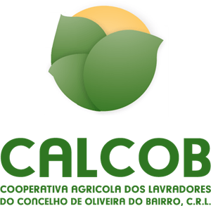 calcob Logo Vector