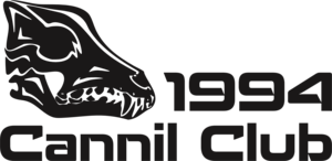cannil 1994 Logo PNG Vector