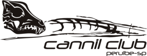 CANNIL ONDA Logo PNG Vector