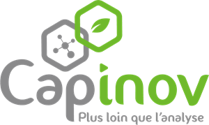 Capinov Plus loin que l'analyse Logo PNG Vector