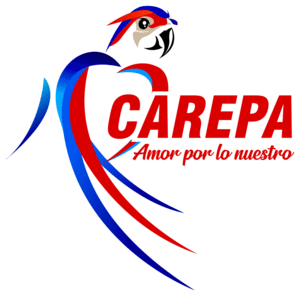 CAREPA Logo PNG Vector