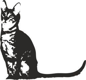 CAT Logo PNG Vector