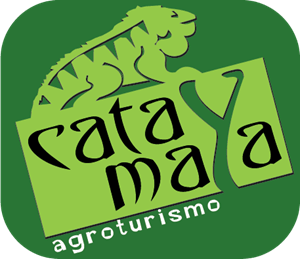 cata y maya Logo Vector