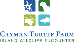 Cayman Turtle Farm Logo Vector