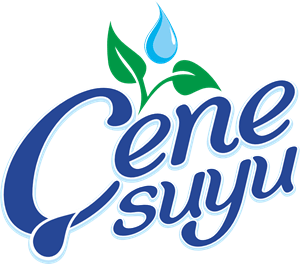 Cenesuyu Logo PNG Vector