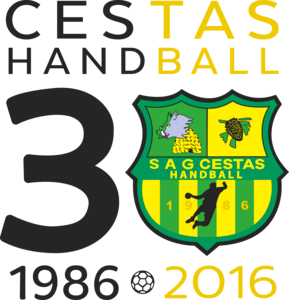 cestas handball Logo PNG Vector